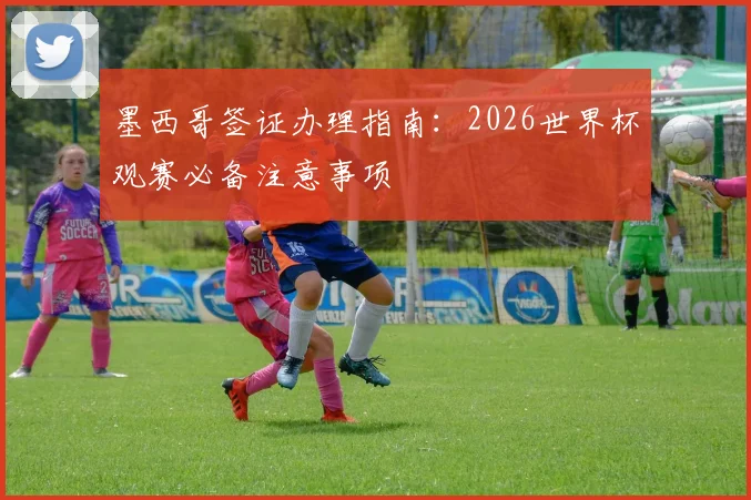 墨西哥签证办理指南:2026世界杯观赛必备注意事项