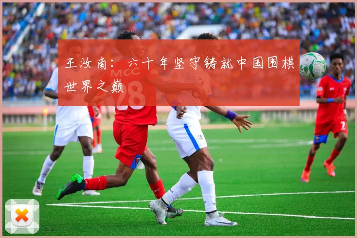 王汝南：六十年坚守铸就中国围棋世界之巅